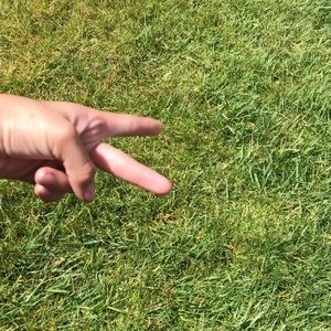 Meet your Posher, Zulema